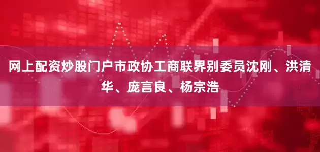 网上配资炒股门户市政协工商联界别委员沈刚、洪清华、庞言良、杨宗浩