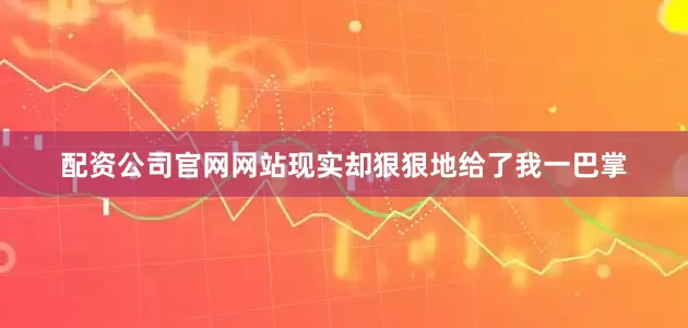 配资公司官网网站现实却狠狠地给了我一巴掌