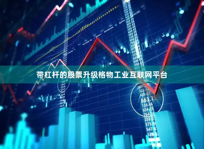 带杠杆的股票升级格物工业互联网平台