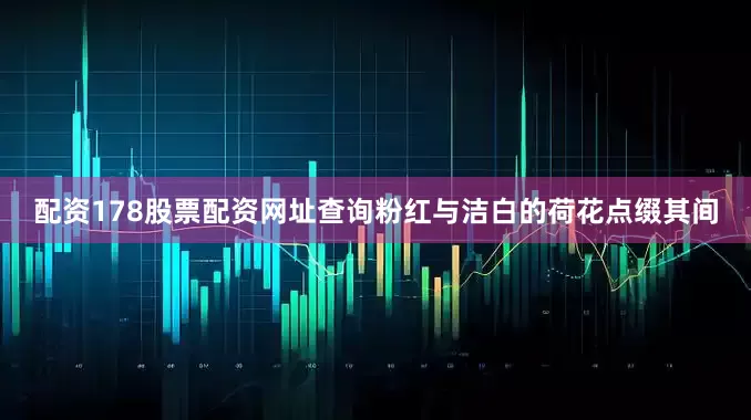配资178股票配资网址查询粉红与洁白的荷花点缀其间