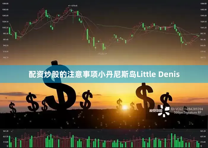 配资炒股的注意事项小丹尼斯岛Little Denis